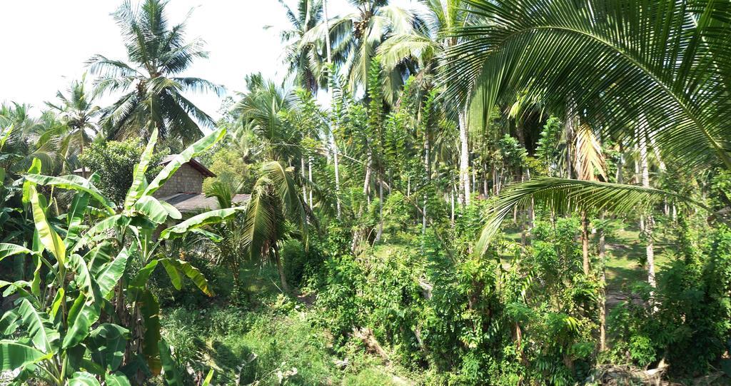 Damith Guest House Unawatuna Esterno foto
